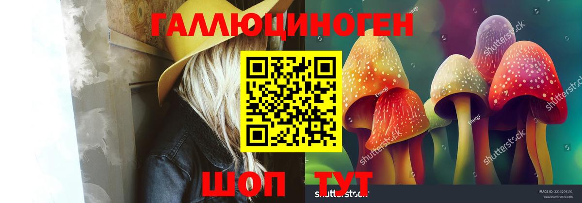 Псилоцибиновые грибы GOLDEN TEACHER Нефтекамск