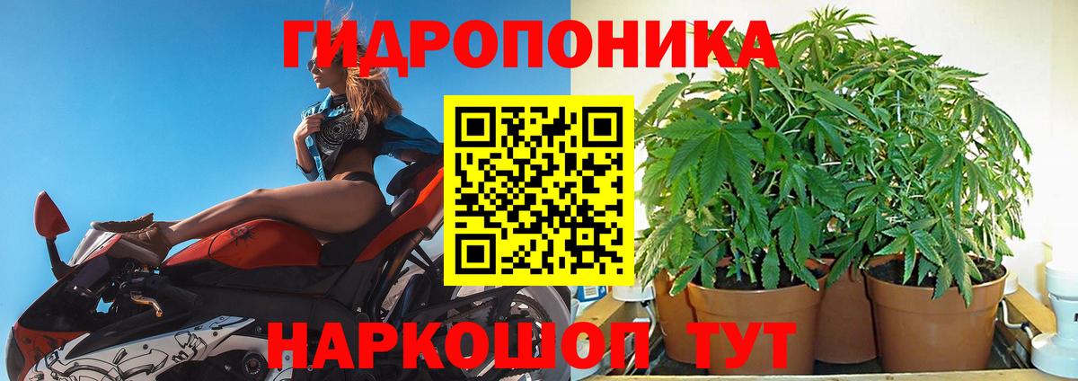 Шишки марихуана MAZAR  Вход с VPN  Нефтекамск  МАРИХУАНА план 